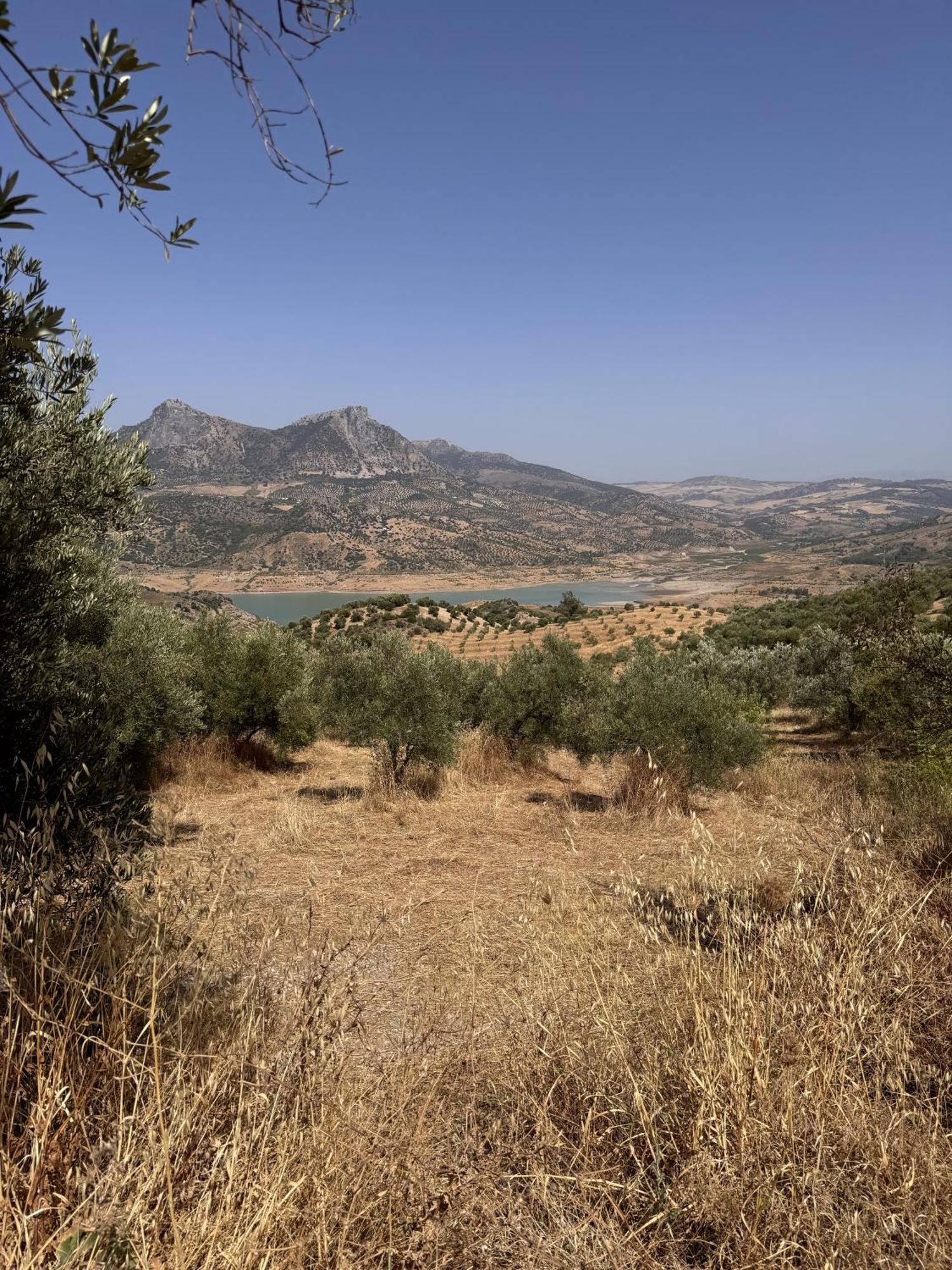 Finca Luca Oliva زاهارا دي لا سييرا المظهر الخارجي الصورة