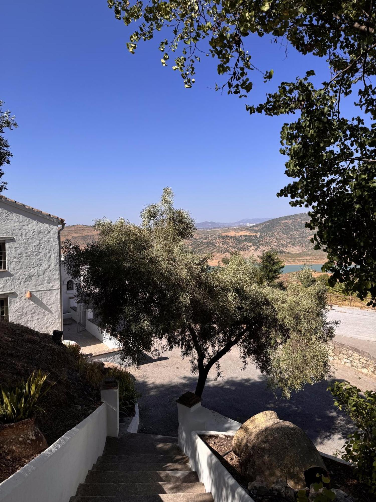 Finca Luca Oliva زاهارا دي لا سييرا المظهر الخارجي الصورة