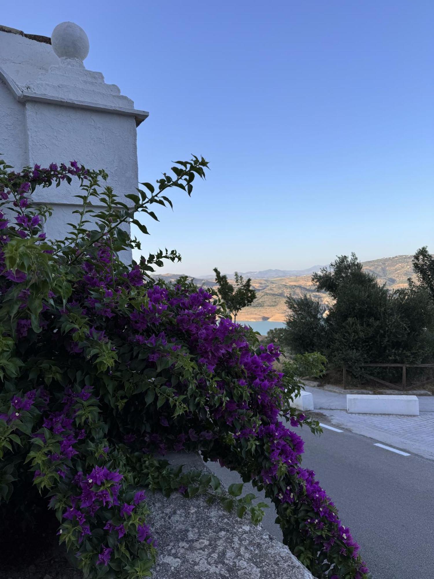 Finca Luca Oliva زاهارا دي لا سييرا المظهر الخارجي الصورة